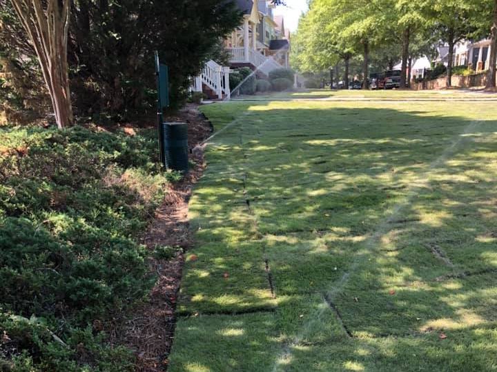 Lawn being watered by irrigation system