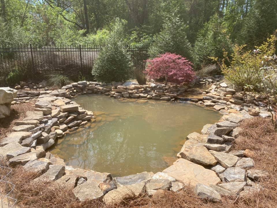 Beautiful outdoor pond