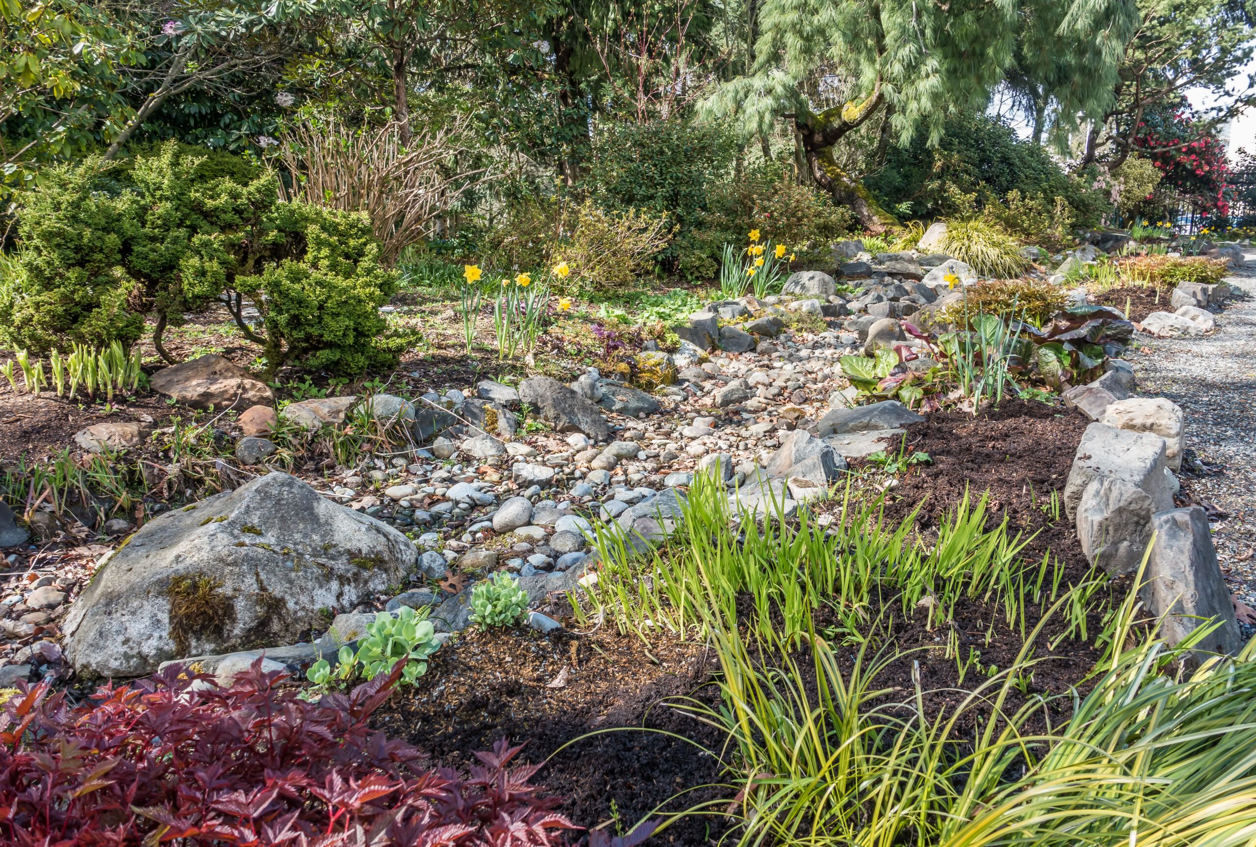 Dry Stream Bed In Spring