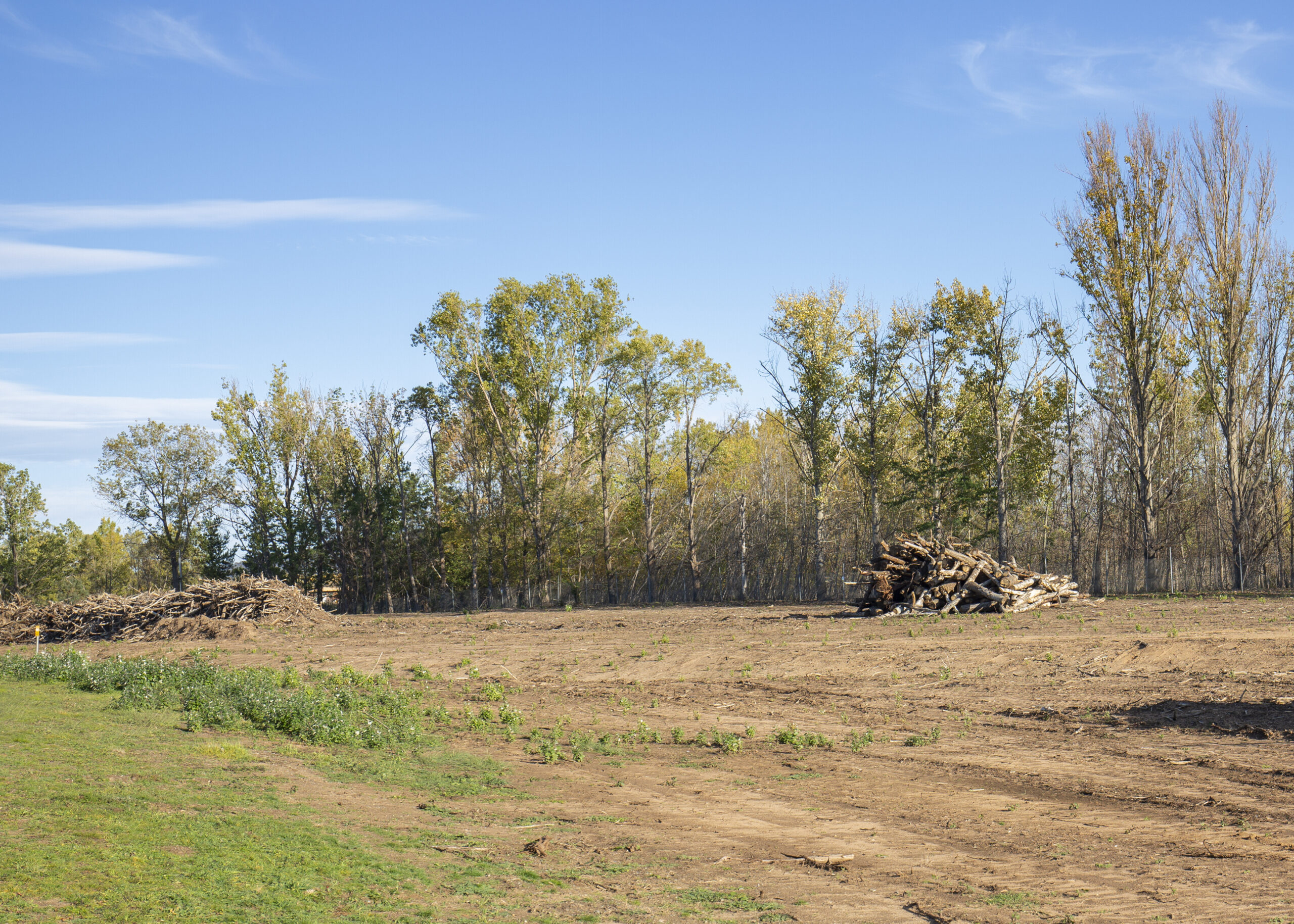 Heavy Duty Brush & Lot Clearing Services