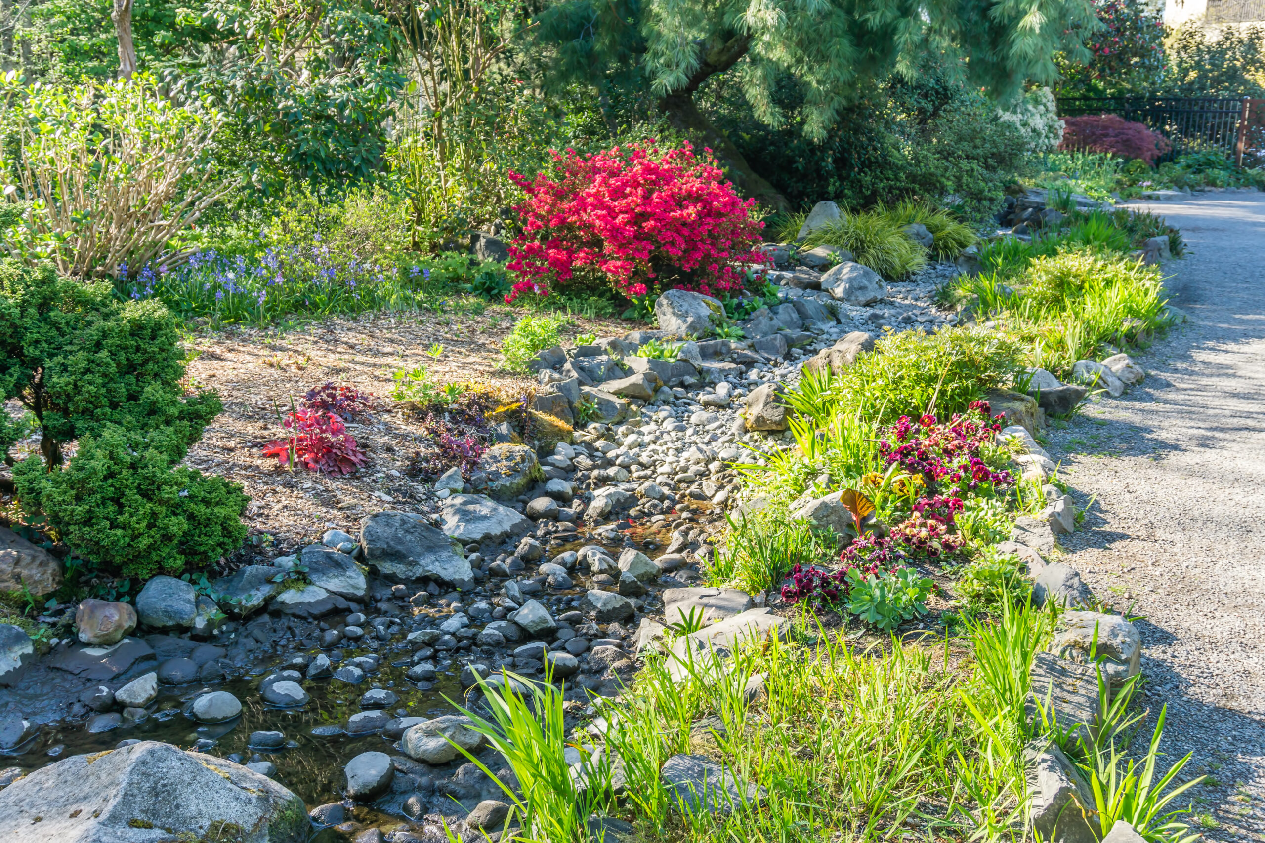 Dry Creek Bed Landscape 3